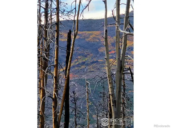 75 Sheep Horn CT, Bellvue, CO 80512