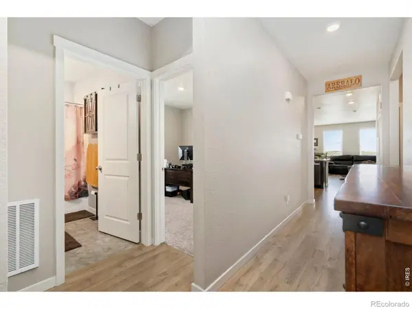 1331 Copeland Falls RD, Severance, CO 80550