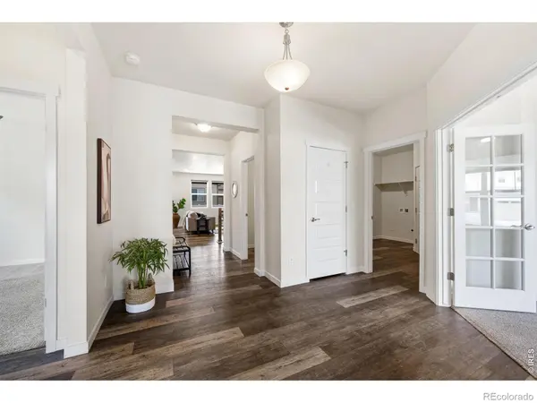 1141 E Ibex DR, Severance, CO 80550