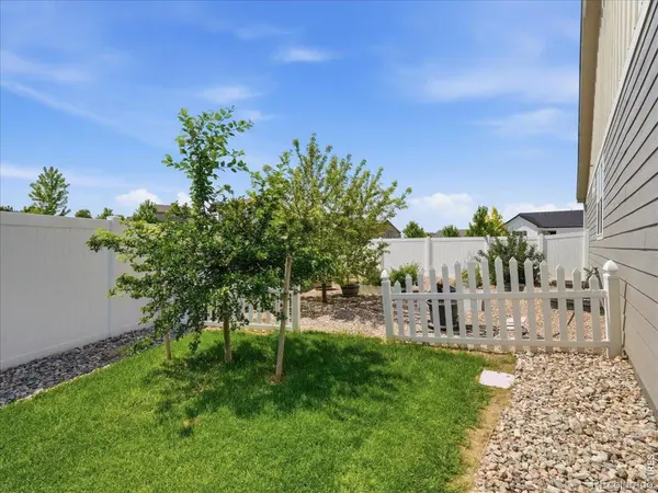 1229 Argali DR, Severance, CO 80550