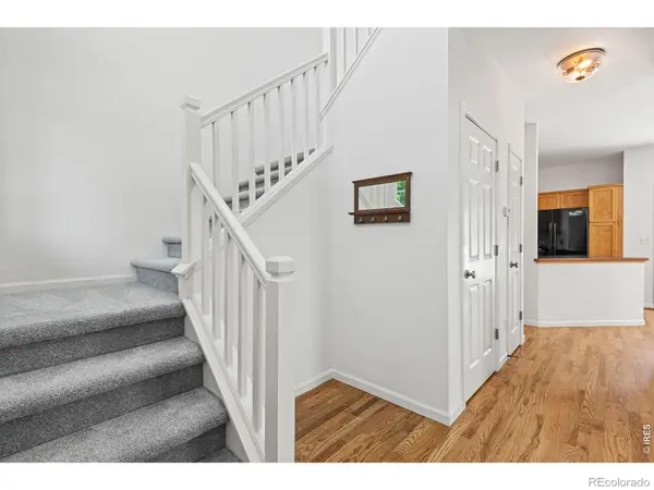 1414 Fairfield AVE, Windsor, CO 80550