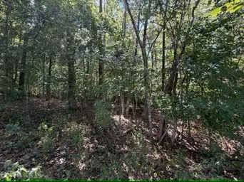 1970 Graham Cypress Rd, Greenville, KY 42345
