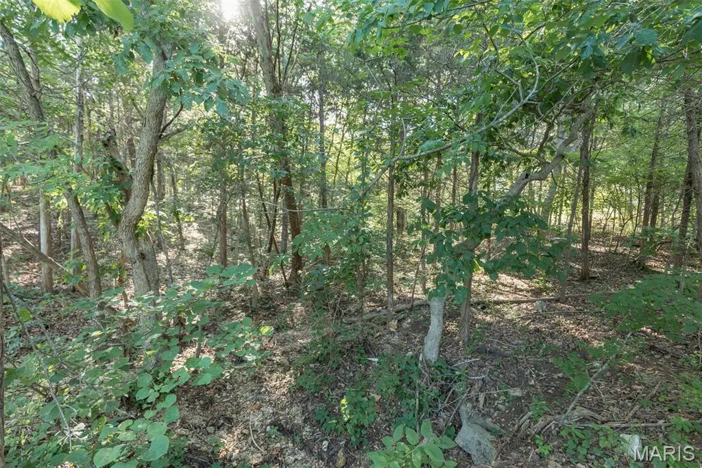 10449 Lake Crest DR, Hillsboro, MO 63050