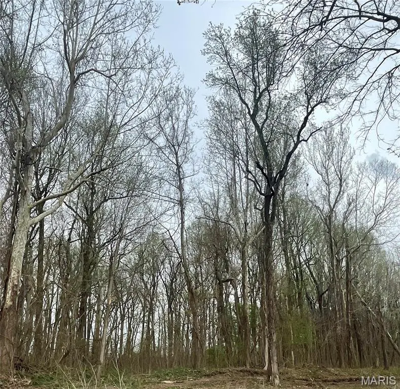 0 County Road 351, Scott City, MO 63780