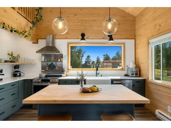 127 Mount Sniktau, Livermore, CO 80536