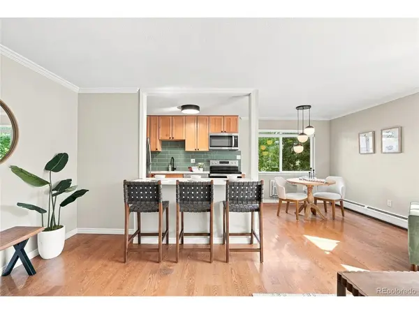 1151 N Marion #301, Denver, CO 80218