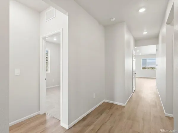 1242 Spring Creek, Windsor, CO 80550