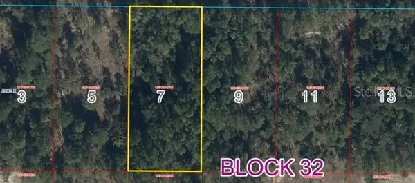 NE 74 TH PL, Bronson, FL 32621