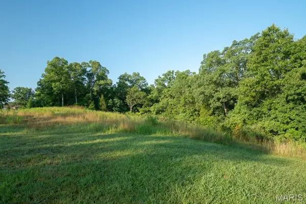 39 Grand Meridien CT, Wildwood, MO 63005