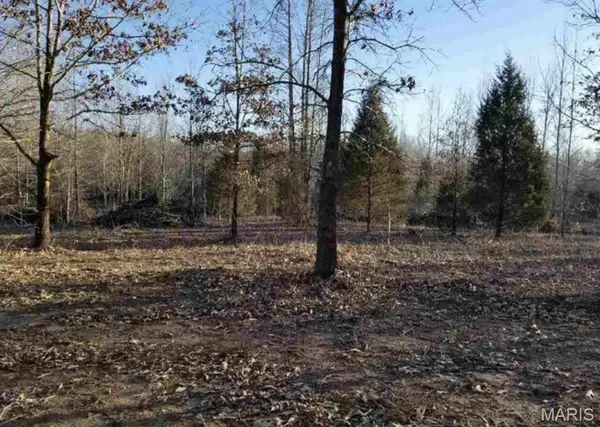 Lot 9 and 10 Mattingly, Wappapello, MO 63966