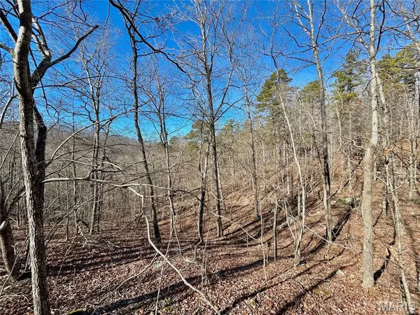 0 40.4 Acres County Road 5650, Bunker, MO 63629