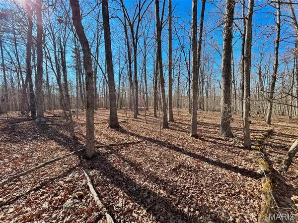 0 40.4 Acres County Road 5650, Bunker, MO 63629