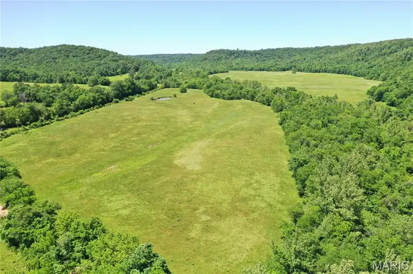 TBD Big Barren Creek RD, Van Buren, MO 63965