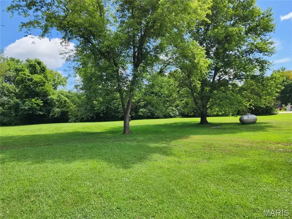 501 N Birch St., Mill Spring, MO 63952