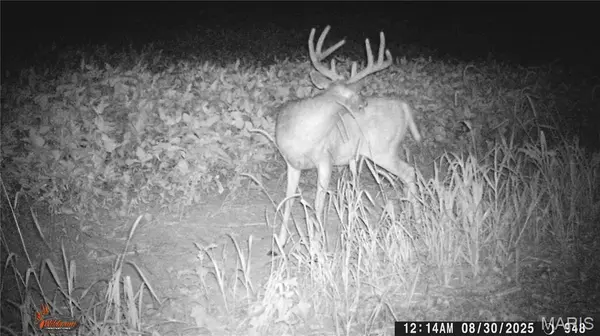 TBD W 182nd St, Eagleville, MO 64467