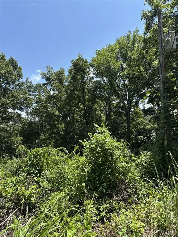 Plat 9 Lots 13 and 14 Deer Run, Van Buren, MO 63965
