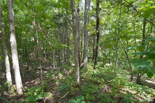 57 Acres Chad Lane, Rhineland, MO 65069