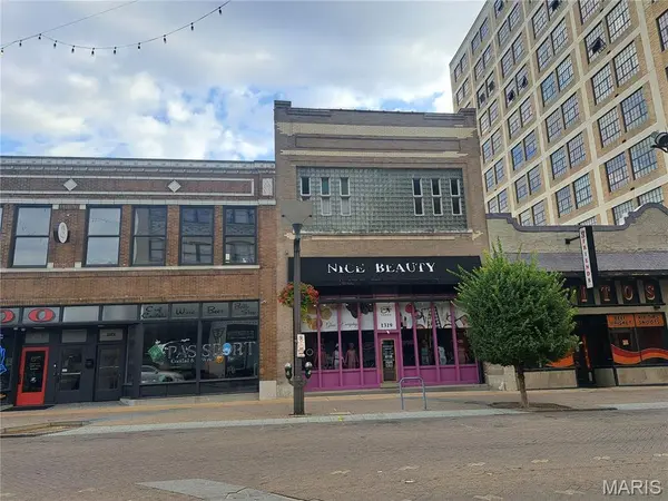 1319 Washington AVE, St Louis, MO 63103