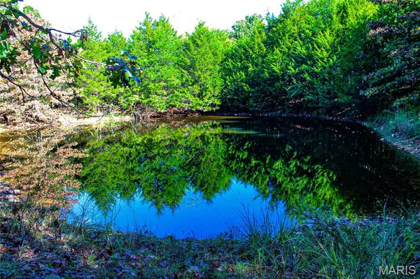 TBD Brownsville Rd, Stoutland, MO 65550