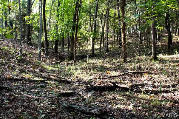 TBD Brownsville Rd, Stoutland, MO 65550