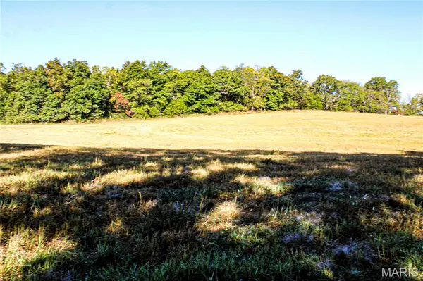 TBD Brownsville Rd, Stoutland, MO 65550