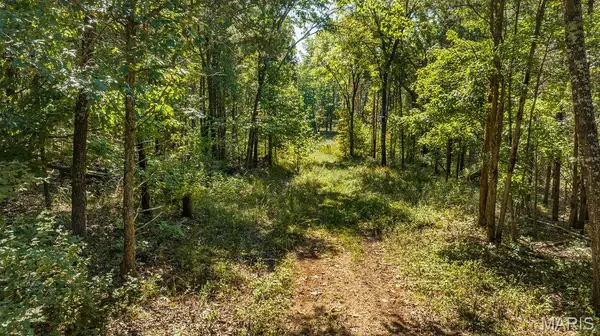 1 Canter Creek Farms, Cedar Hill, MO 63016