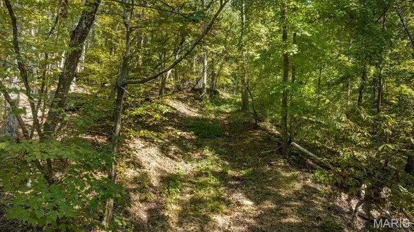 1 Canter Creek Farms, Cedar Hill, MO 63016