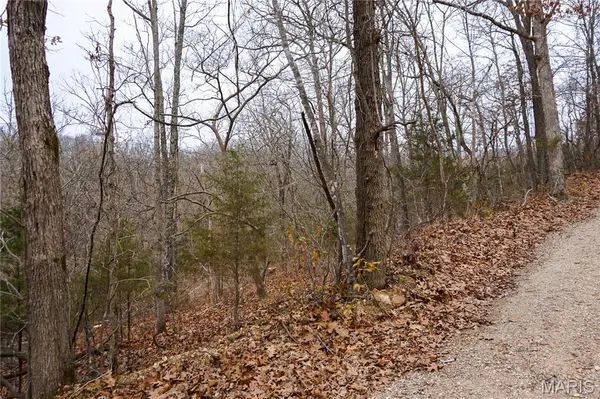 Tract D Holiday LN, Dixon, MO 65459