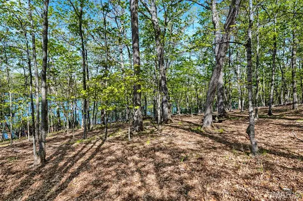 2235 S Konstanz DR, Innsbrook, MO 63390