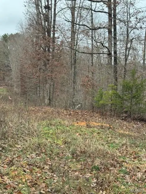9290 SPLITLIMB ROAD, Raymondville, MO 65555