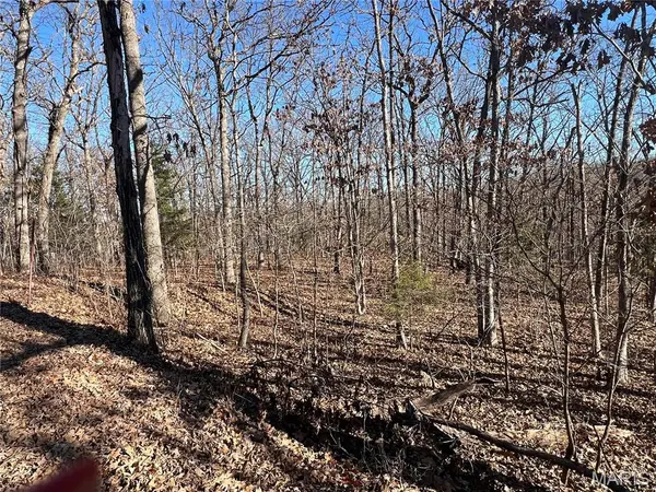 TBD Thong Tree RD, Camdenton, MO 65020