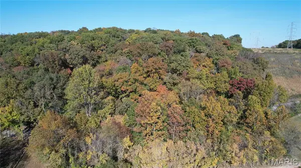 1318 Pond RD, Glencoe, MO 63038