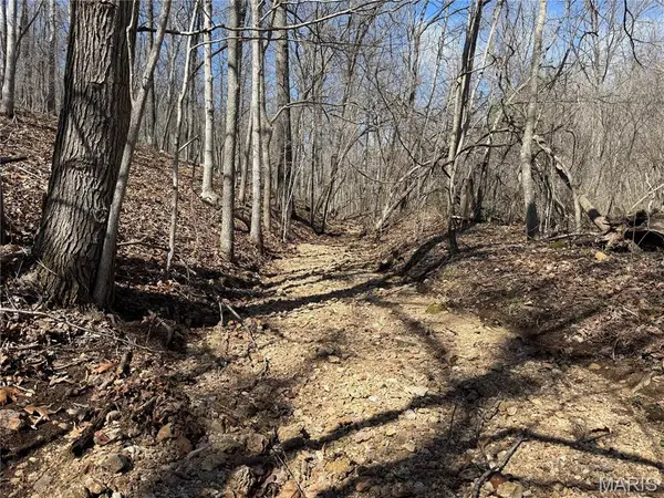 Tract 1 Madison 248, Fredericktown, MO 63645