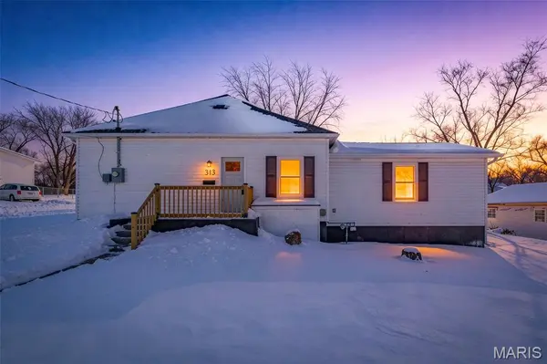 313 Dip ST, Park Hills, MO 63601