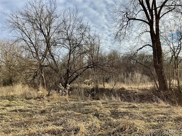 0 Buck Creek RD, Greentop, MO 63546
