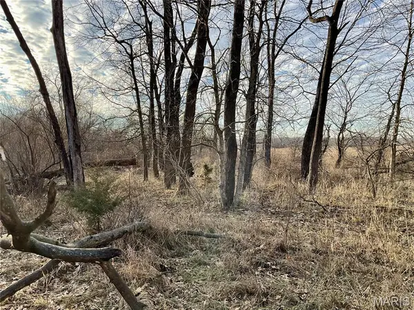 0 Buck Creek RD, Greentop, MO 63546