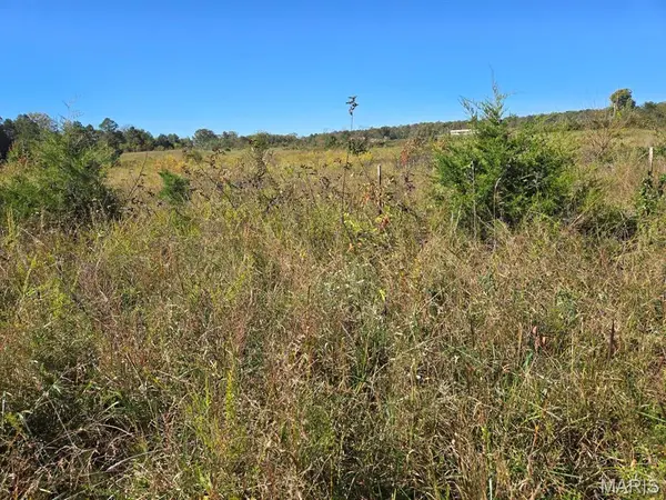 000 County Road 455, Birch Tree, MO 65438