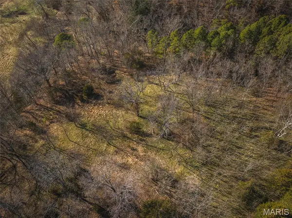 10.4 acres Nichols DR, Houston, MO 65483