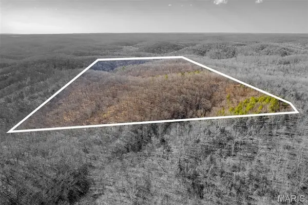 0 County Road 426, Ellington, MO 63638