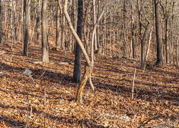 0 County Road 426, Ellington, MO 63638