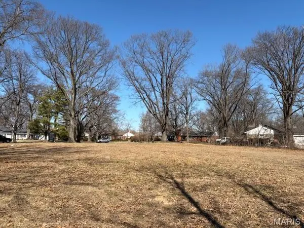 11 Outer Ladue DR, St Louis, MO 63131