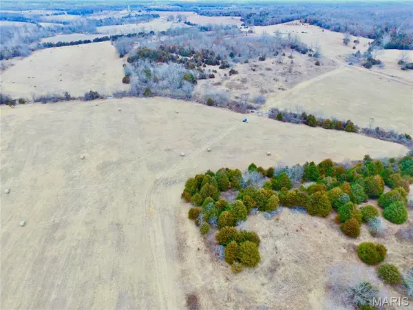 0 Frankfort Dr, Long Lane, MO 65590