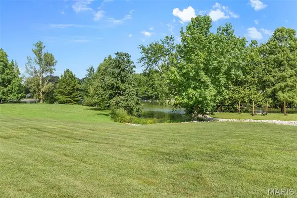 106 Alexis LN, Benton, MO 63736