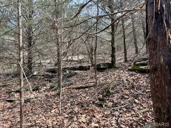 000 Hwy M Tract D, Cabool, MO 65689