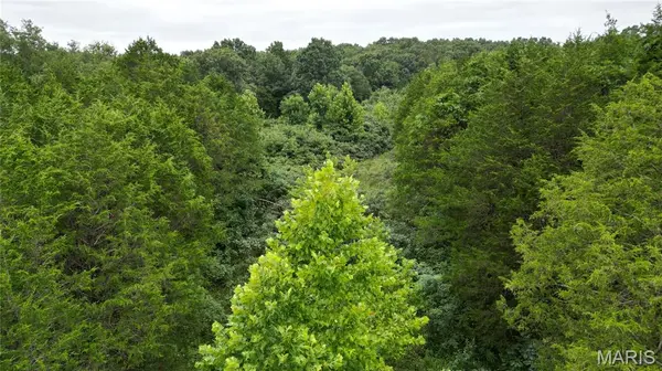 6135 Tall Cedars RD, Hillsboro, MO 63050