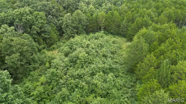 6135 Tall Cedars RD, Hillsboro, MO 63050