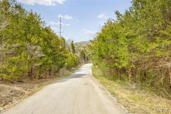 0 N Lafitte DR, Bonne Terre, MO 63628