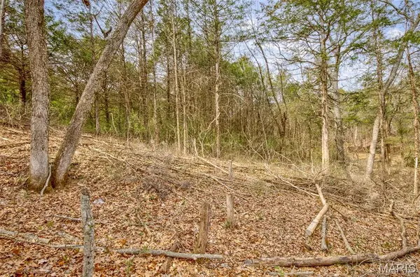 0 N Lafitte DR, Bonne Terre, MO 63628