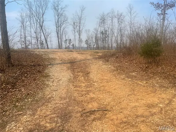 000 Wayne County Road 410, Williamsville, MO 63967