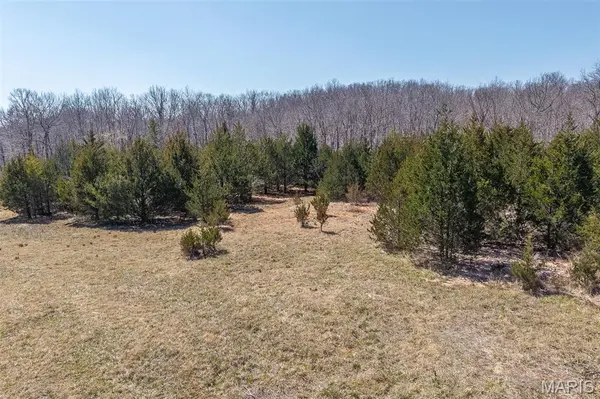 Lot A Woodridge Development Plat 2/Bronco Dr., St Robert, MO 65584